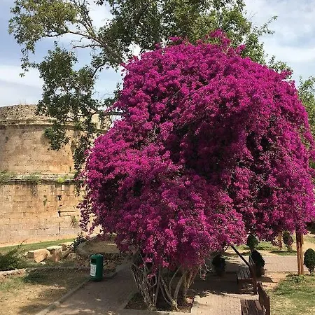 Esen فندق